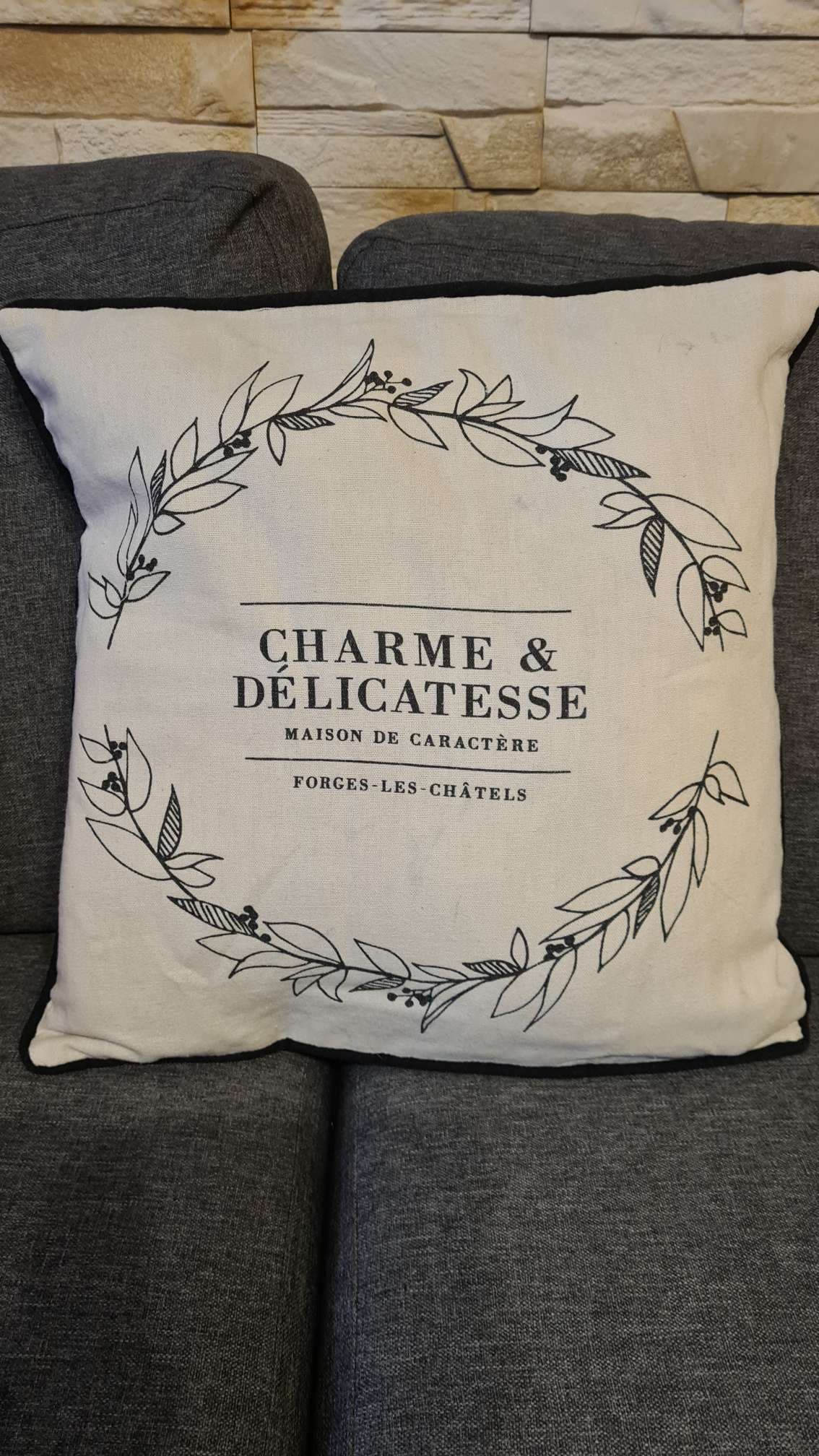 Coussin décoratif "Charme & Délicatesse"