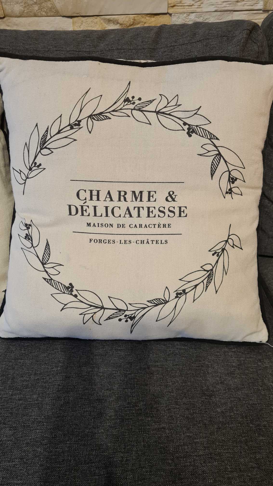 Coussin décoratif "Charme & Délicatesse" — photo 2