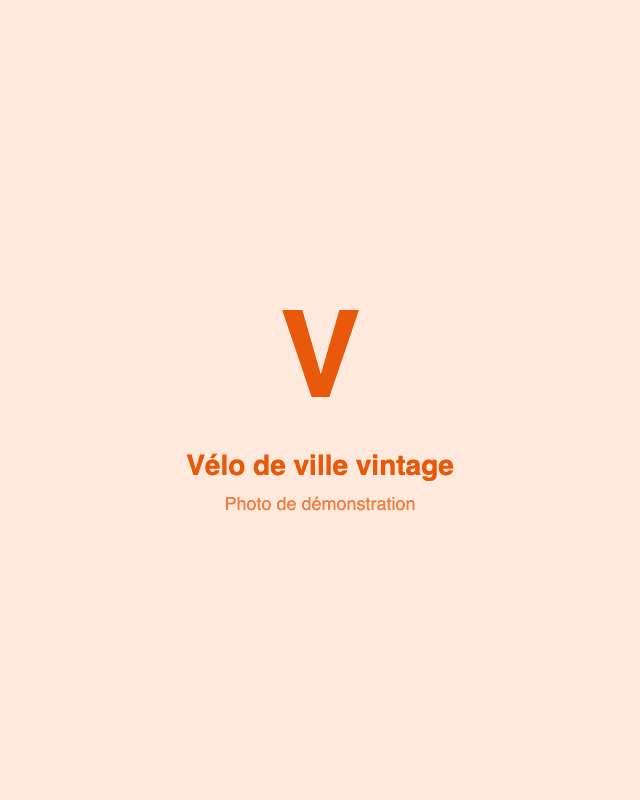 Vélo de ville vintage